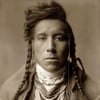 Native C.